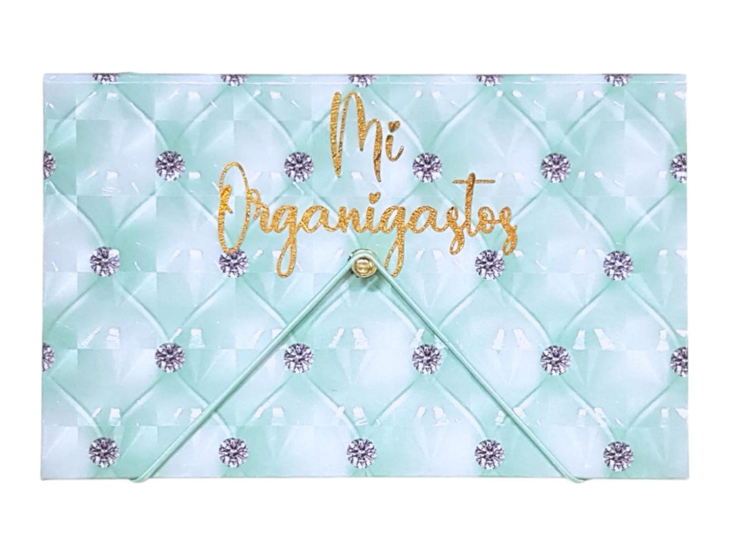 Kit de organigastos 2025 (menta) CON CURSO