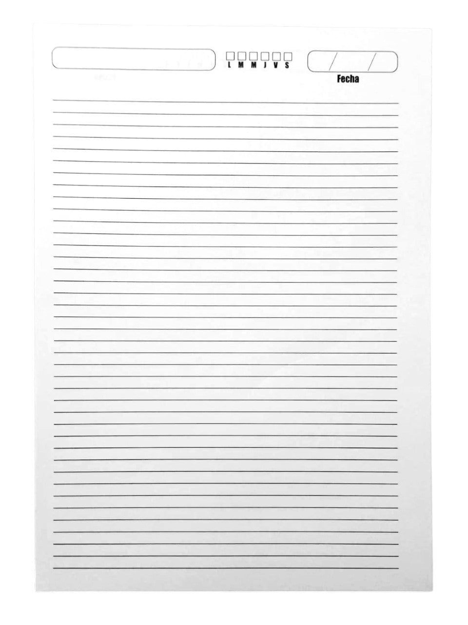 Interior para Libretas de B5 (profesional) 